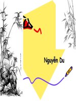 Tìm hiểu về cụ Nguyễn Du