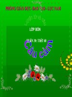 LTVC lop4 tuan 30 Cau Cam.ppt