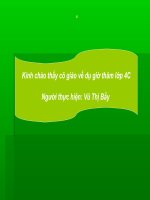 tinh tu tiep mới.ppt