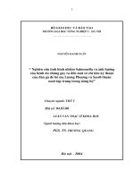 nghiên cứu tình hình nhiễm salmonella và ảnh hưởng của bệnh do chúng gây ra đến một só chỉ tiêu kỹ thuật của đàn gà để bố mẹ lương phượng và sas0 thuần nuôi tập trung trong nông hộ