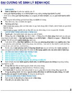 đại cương về sinh lý bệnh học