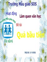 Quả bầu tiên