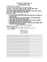 Đề thi kiểm tra định kỳ lần 2