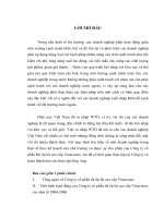 TÌNH HÌNH HOẠT ĐỘNG CỦA Công ty CP ĐÁ ỐP LÁT CAO  CẤP VINACONEX