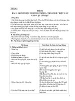 Giáo án Thể Dục lớp 2 cả năm