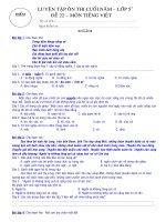 ĐỀ ÔN TẬP CUỐI HK II LUYỆN TỪ & CÂU LỚP 5