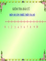 mười môt mười hai