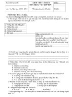 Đề thi thử HKII lớp 4