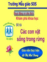 Các con vật sống trong rừng