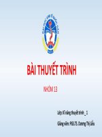 Dự án kinh doanh website thương mại điện tử chosinhvien.net