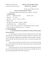 bao cao thanh tich ca nhan CSTD Cap tinh