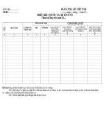 Mẫu phiếu biểu quyết phân loại đảng viên