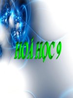 hop kim sat co vi deo minh hoa