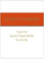 bài giảng kỹ năng tư vấn khởi kiện