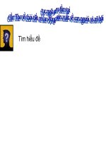 chuong trinh dia phuong thanh pho can tho