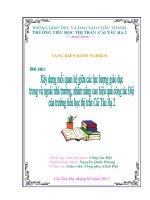 Bìa sáng kiến kinh nghiệm 2011