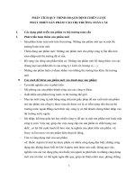 Phân tích quy trình hoạch định chiến lược phát triển sản phẩm vào thị trường toàn cầu