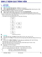 sinh lý bệnh quá trình viêm