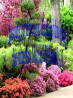 Dân số và sự gia tăng dân số