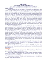 chuyên đề TD cấp trường