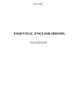 ESSENTIAL ENGLIS IDOMS INTERMEDIATE
