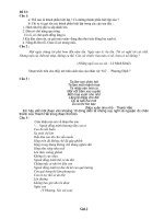 Đề 33  Kiểm tra NV 9