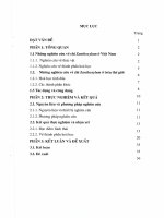 Nghiên cứu đặc điểm thực vật và thành phần hóa học của một loài zanthoxylum ở nghệ an