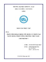Phân tích hoạt động tín dụng cá nhân tại ngân hàng tmcp Công Thương Việt Nam  Chi nhánh 7