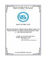 rủi ro tín dụng trong hoạt động cho vay khách hàng cá nhân tại ngân hàng việt á – chi nhánh chợ lớn