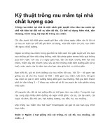 Kỹ thuật trồng rau mầm tại nhà chất lượng cao