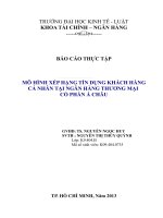 mô hình xếp hạng tín dụng khách hàng cá nhân tại ngân hàng thương mại cổ phần á châu