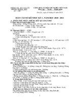 BÁO CÁO TỔNG KẾT NĂM HỌC 2010   2011