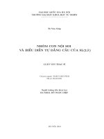 Nhóm con nội soi và biểu diễn tự đẳng cấu của SL (2,r) 