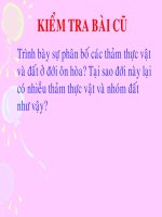 BÀI 20: LỚP VỎ ĐỊA LÝ QUY LUẬT THỐNG NHẤT VÀ HOÀN CHỈNH CỦA LỚP VỎ ĐỊA LÝ