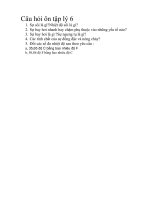 câu hỏi ôn tập lý 6