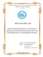 PHÂN TÍCH RỦI RO TÍN DỤNG TẠI  NGÂN HÀNG THƯƠNG MẠI CỔ PHẦN SÀI GÒN THƯƠNG TÍN  CHI NHÁNH BÌNH THẠNH  THÀNH PHỐ HỒ CHÍ MINH