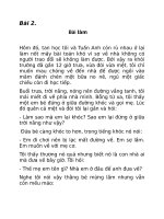 Bài làm văn số 2 lớp 6 -Văn Mẫu