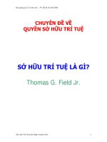 chuyên đề về quyền sở hữu trí tuệ sở hữu trí tuệ là gì?