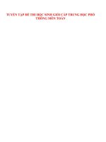 Tuyển tập đề thi học sinh giỏi môn toán THPT