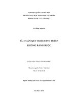 Bài toán quy hoạch phi tuyến không ràng buộc 