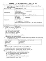 sự phối hợp các thì