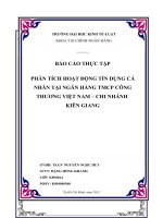 phân tích hoạt động tín dụng cá nhân tại ngân hàng tmcp công thương việt nam – chi nhánh kiên giang