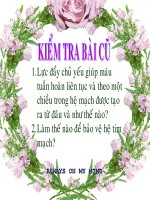 Giáo án điện tử thao giảng sinh học lớp 8  bài 19 thực hành sơ cứu cầm máu (3) 