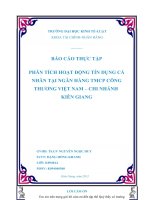 phân tích hoạt động tín dụng cá nhân tại ngân hàng tmcp công thương việt nam – chi nhánh kiên giang