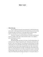 cấu trúc và hoạch định CSDL của siêu thị Thành Đô