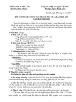 Báo cáo sơ kết hoạt động ban thanh tra