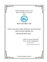 nâng cao chất lượng tín dụng tại ngân hàng tmcp sài gòn thương tín chi nhánh hưng đạo