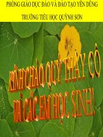 Khoa5: Cây con có thể mọc lên từ một số bộ phận khác của cây mẹ