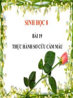 Giáo án điện tử thao giảng sinh học lớp 8  bài 19 thực hành sơ cứu cầm máu (6) 