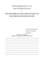 phân tích hiệu quả hoạt động tín dụng tại vietcombank chi nhánh thủ đức.